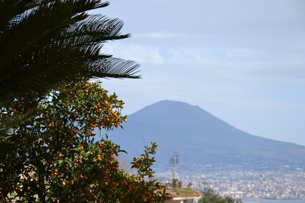 Casa Del Cedro Apartment Naples Luaran gambar